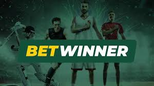 Exploring BetWinner in Ivory Coast A Premier Sports Betting Experience